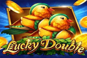 01791 lucky double